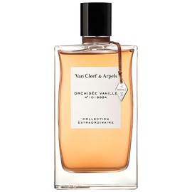 Orchidée Vanille