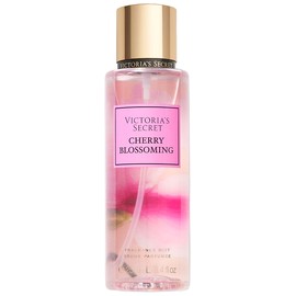 Cherry Blossoming