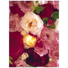 perfume La Rose Legere