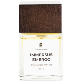 Immersus Emergo