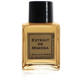 perfume Mimosa