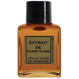 perfume Ylang Ylang
