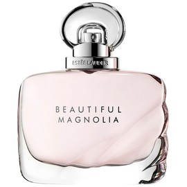 Beautiful Magnolia