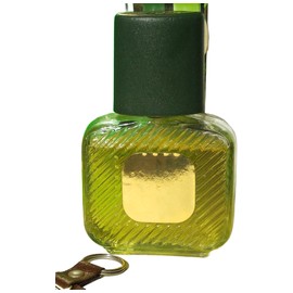 perfume Dzintars 21 for Men