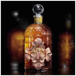 perfume Le Songe de la Reine