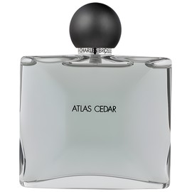 Collection Homme/Atlas Cedar