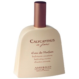 perfume Calycanthus In Fiore
