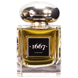 perfume Citrus Oud