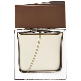 perfume Brioni Man Eau de Parfum