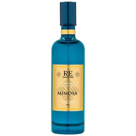 Mimosa 含羞草