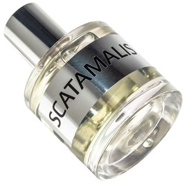 JD Scatamalis Base