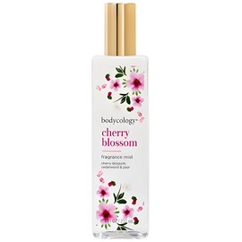Cherry Blossom
