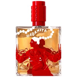 Habanita X Marie Guillard