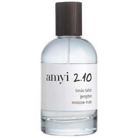 Amyi 2.10