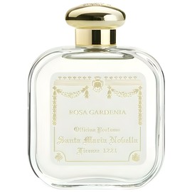 Rosa Gardenia
