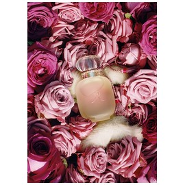 perfume Une Folie de Rose