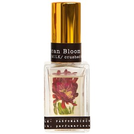 Sonoran Bloom