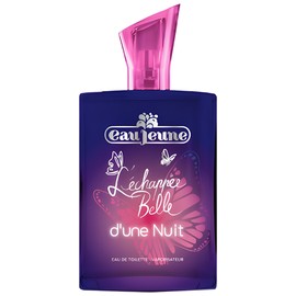 L'Échappée Belle d'une Nuit