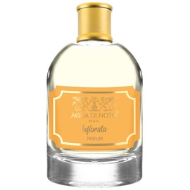 perfume Infiorata