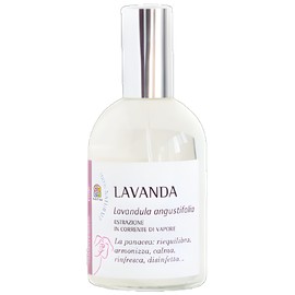 Lavanda
