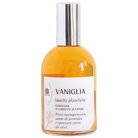 perfume Vaniglia
