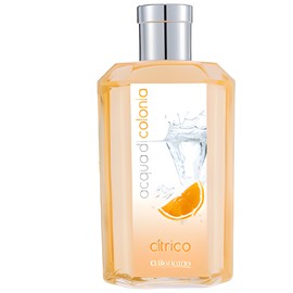 perfume Acqua di Colonia Citrus