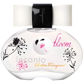 Incanto Bloom
