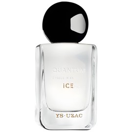 Quantum Charge In An Ice Palace
