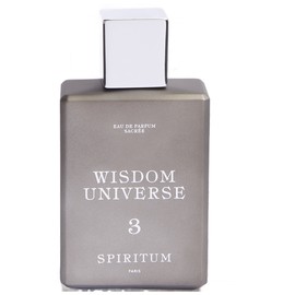 3 Wisdom Universe