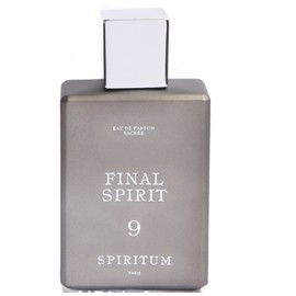 9 Final Spirit