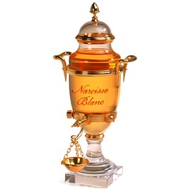 perfume Narcisse Blanc