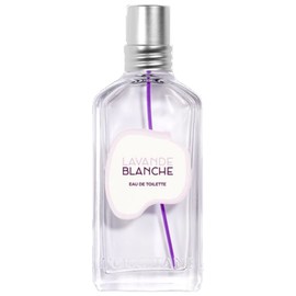 Lavande Blanche