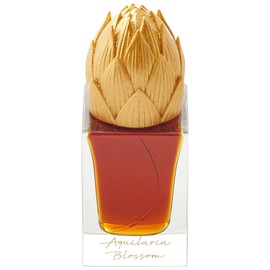 Aquilaria Blossom