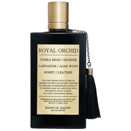 Royal Orchid