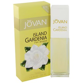 Island Gardenia