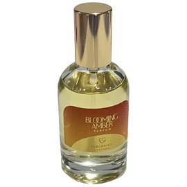 perfume Blooming Amber