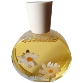 Delicate Daisy