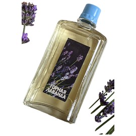 Горная лаванда (Mountain Lavender)