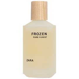 Frozen Pure Forest