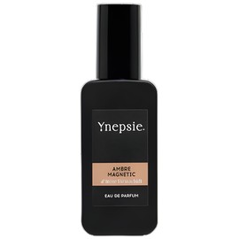 Ambre Magnetic