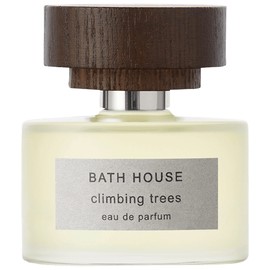 perfume Climbing Trees