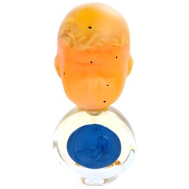 perfume Beauty With Moles