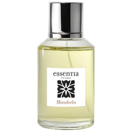 perfume Mandorla