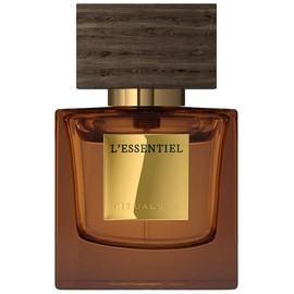 L'Essentiel