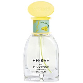 Herbae Spartium