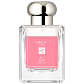 Red Roses Cologne (2023)