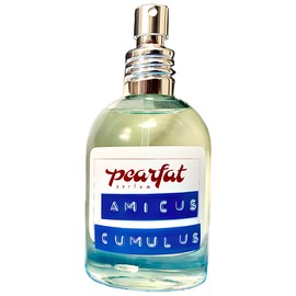 Amicus Cumulus