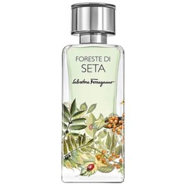 Foreste di Seta