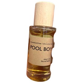 Pool Boy