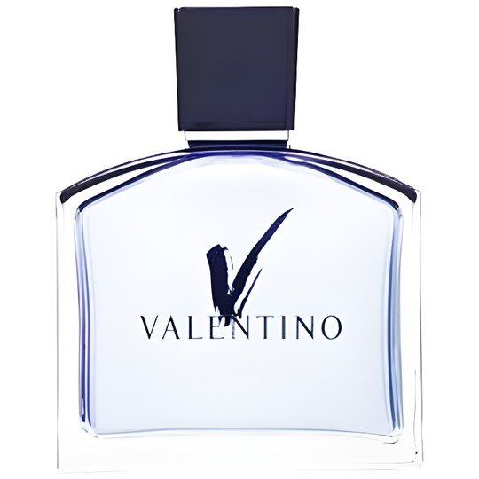 Valentino Perfumes And Colognes